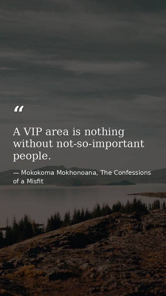 A VIP area is nothing without not-so-important people. — Mokokoma Mokhonoana, The Confessions of a Misfit