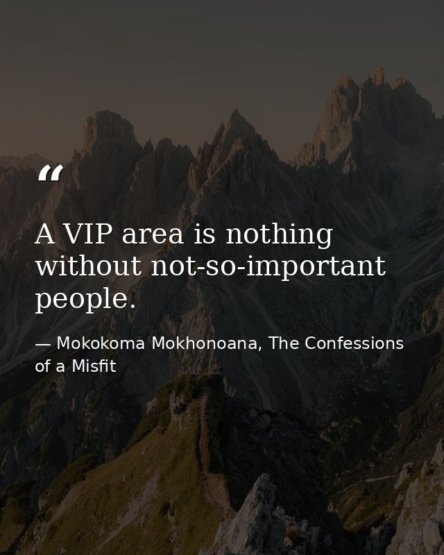 A VIP area is nothing without not-so-important people. — Mokokoma Mokhonoana, The Confessions of a Misfit