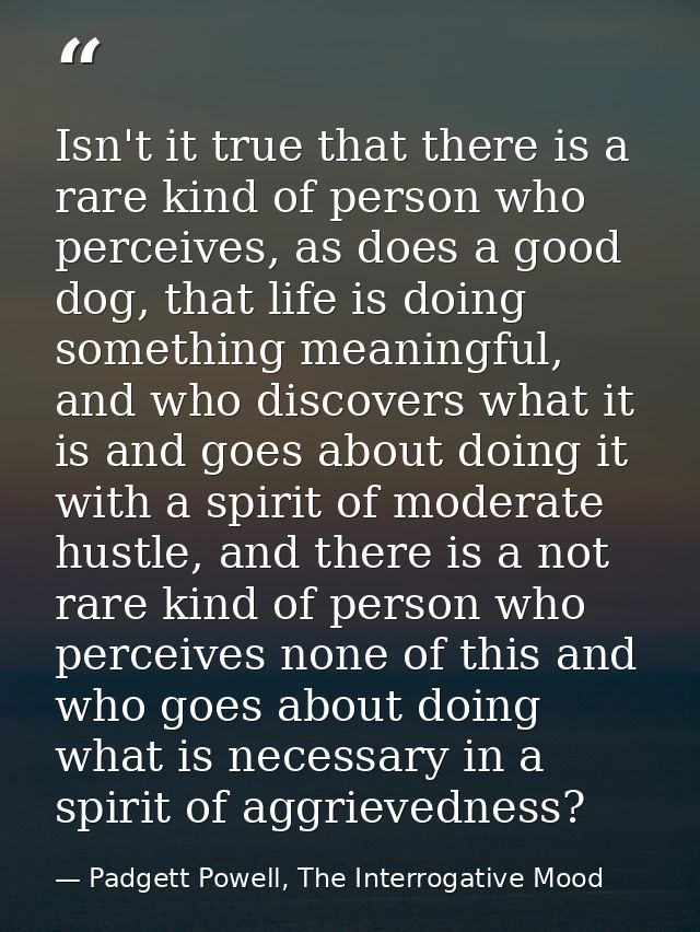 Isn't it true that there is a rare kind of person who perceives, as does a good dog, that life is doing something meanin — Padgett Powell, The Interrogative Mood