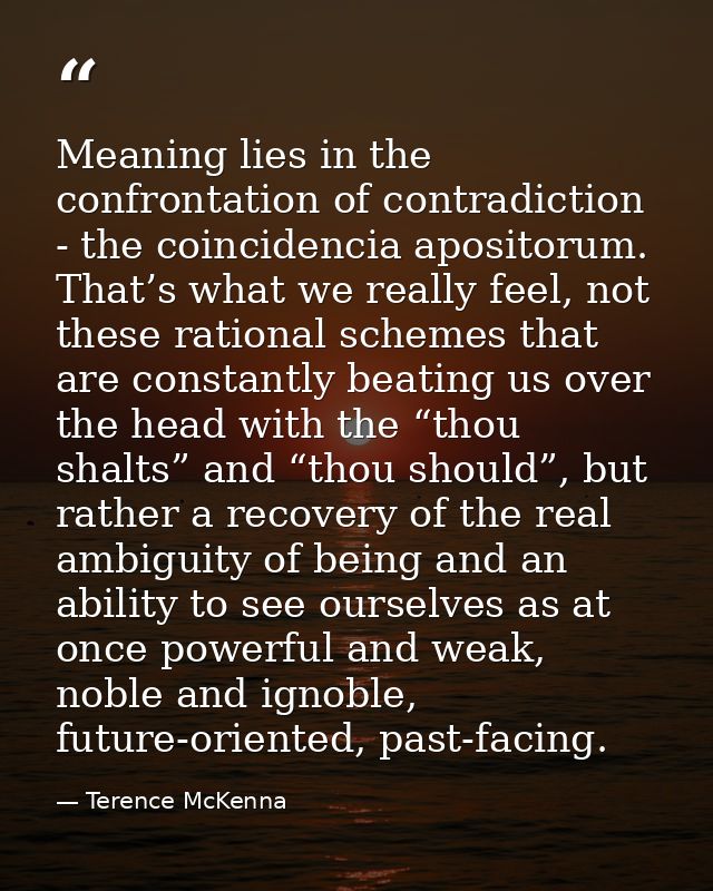 Meaning lies in the confrontation of contradiction - the coincidencia apositorum. That’s what we really feel, not these  — Terence McKenna