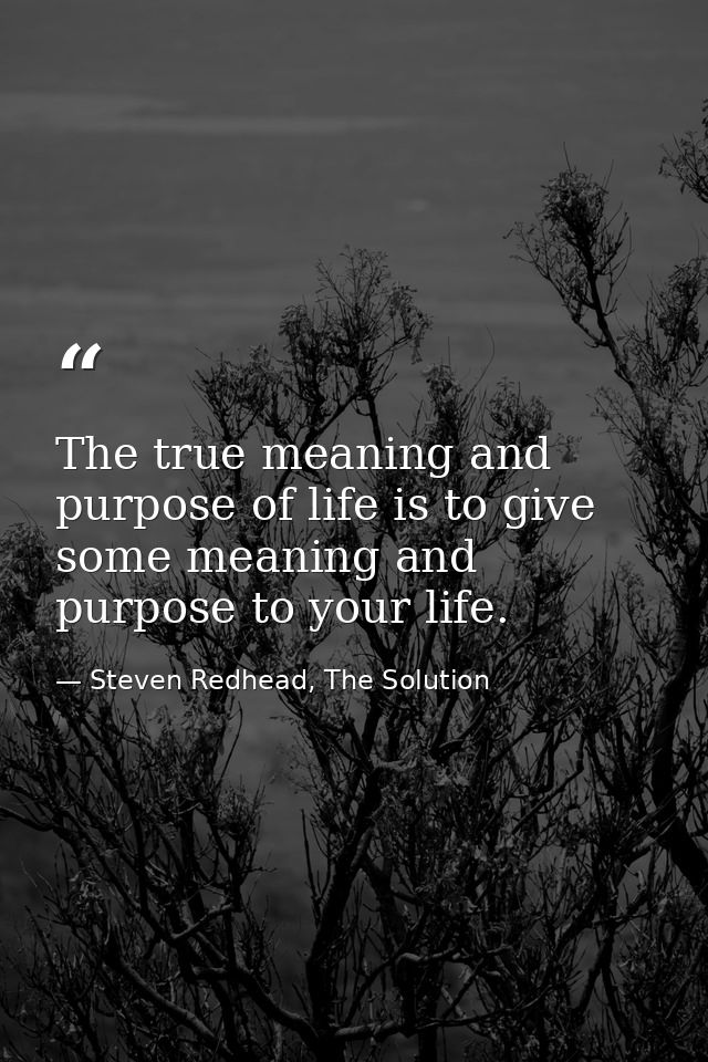 The true meaning and purpose of life is to give some meaning and purpose to your life. — Steven Redhead, The Solution