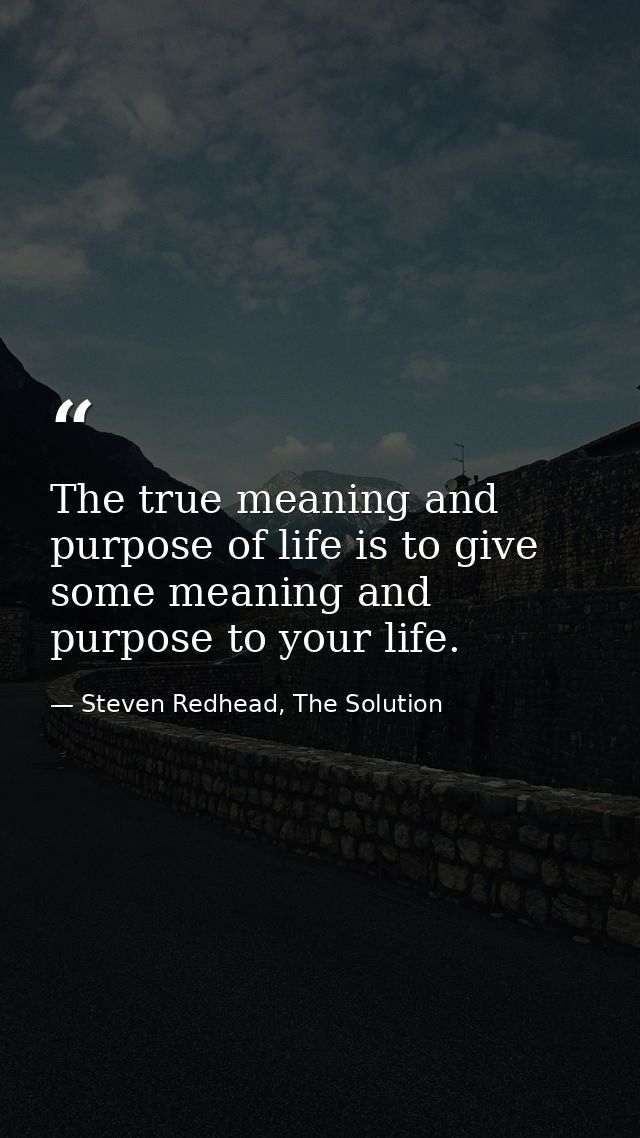 The true meaning and purpose of life is to give some meaning and purpose to your life. — Steven Redhead, The Solution