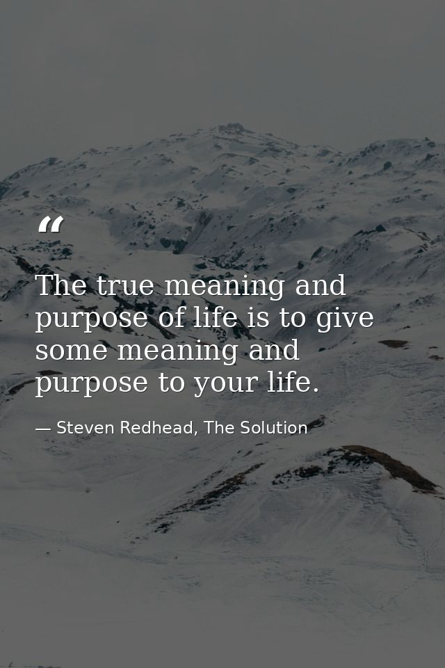 The true meaning and purpose of life is to give some meaning and purpose to your life. — Steven Redhead, The Solution