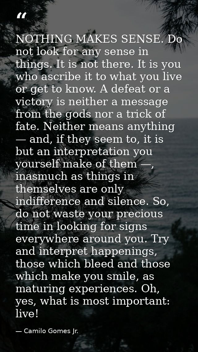 NOTHING MAKES SENSE. Do not look for any sense in things. It is not there. It is you who ascribe it to what you live or  — Camilo Gomes Jr.