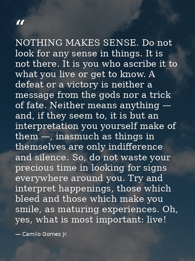 NOTHING MAKES SENSE. Do not look for any sense in things. It is not there. It is you who ascribe it to what you live or  — Camilo Gomes Jr.