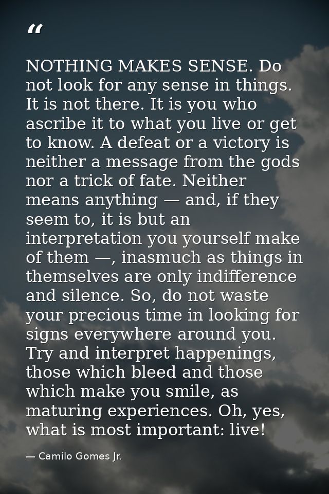 NOTHING MAKES SENSE. Do not look for any sense in things. It is not there. It is you who ascribe it to what you live or  — Camilo Gomes Jr.