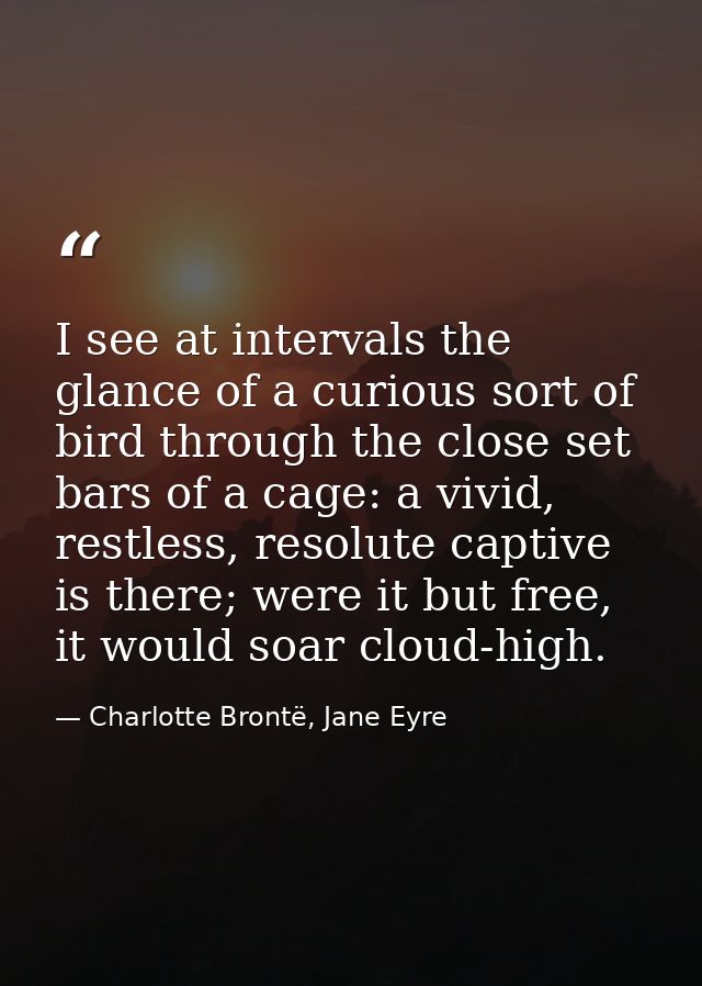 I see at intervals the glance of a curious sort of bird through the close set bars of a cage: a vivid, restless, resolut — Charlotte Brontë, Jane Eyre
