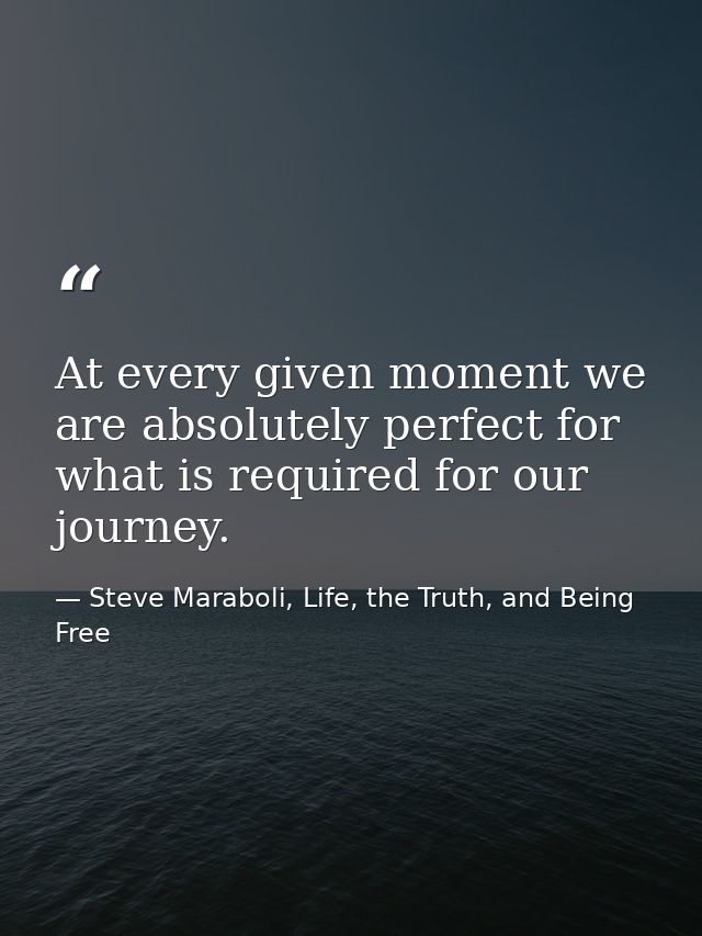 At every given moment we are absolutely perfect for what is required for our journey. — Steve Maraboli, Life, the Truth, and Being Free