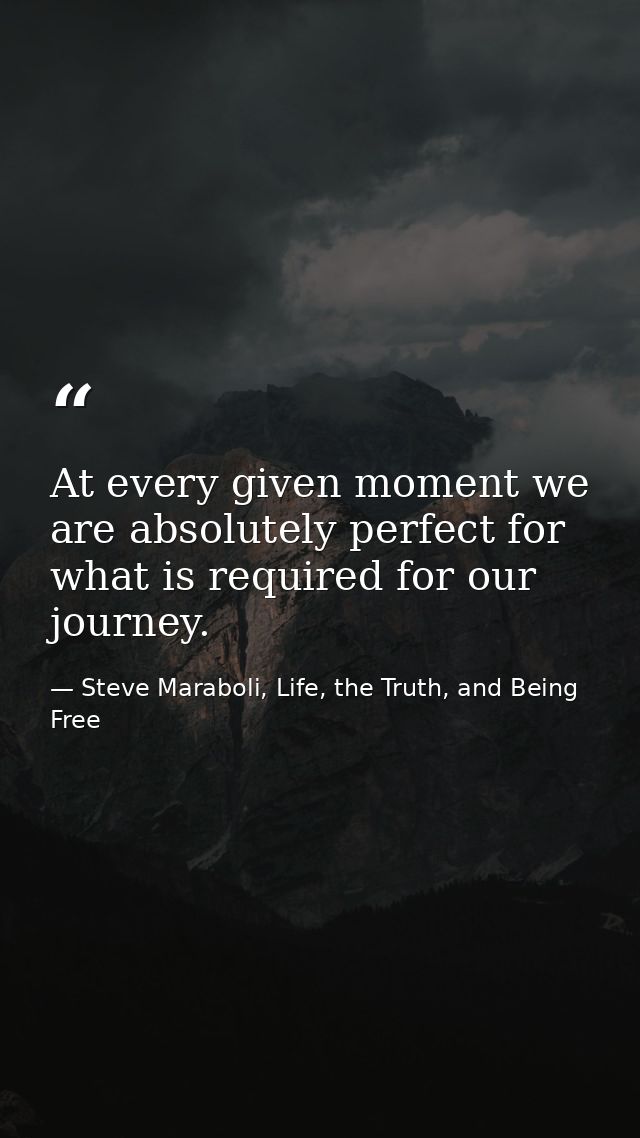 At every given moment we are absolutely perfect for what is required for our journey. — Steve Maraboli, Life, the Truth, and Being Free
