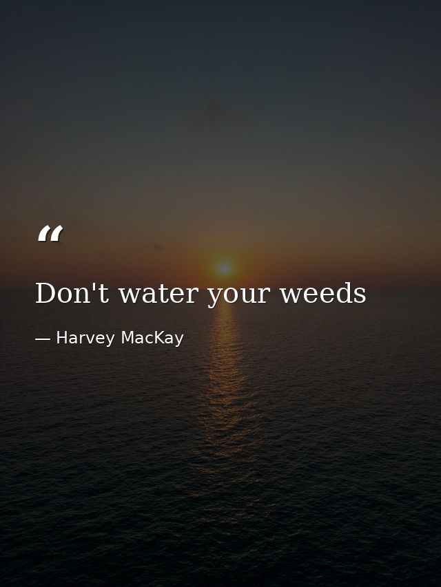 Don't water your weeds — Harvey MacKay