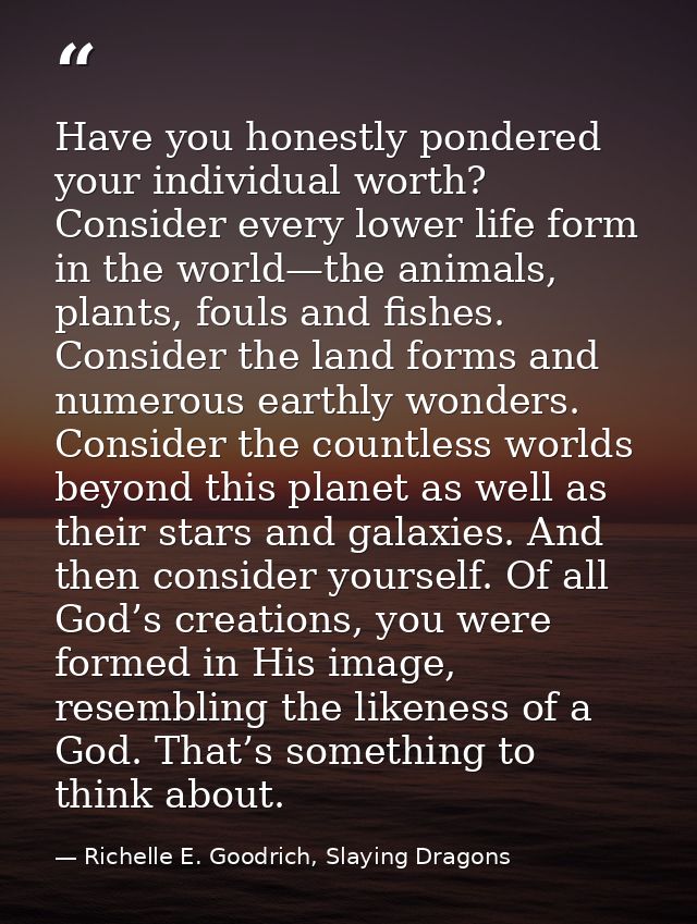 Have you honestly pondered your individual worth? Consider every lower life form in the world—the animals, plants, fouls — Richelle E. Goodrich, Slaying Dragons