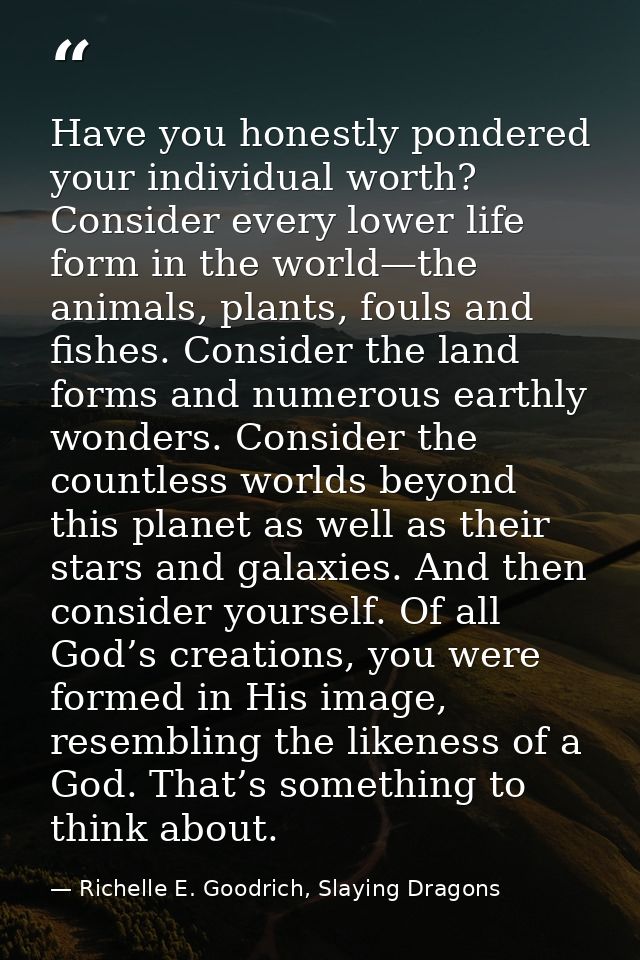 Have you honestly pondered your individual worth? Consider every lower life form in the world—the animals, plants, fouls — Richelle E. Goodrich, Slaying Dragons