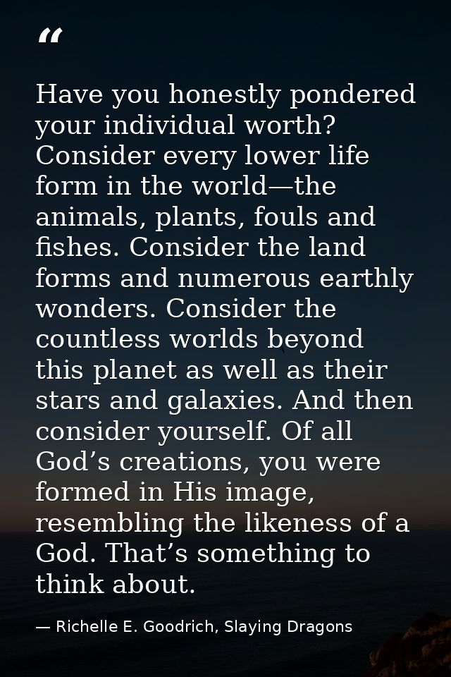 Have you honestly pondered your individual worth? Consider every lower life form in the world—the animals, plants, fouls — Richelle E. Goodrich, Slaying Dragons