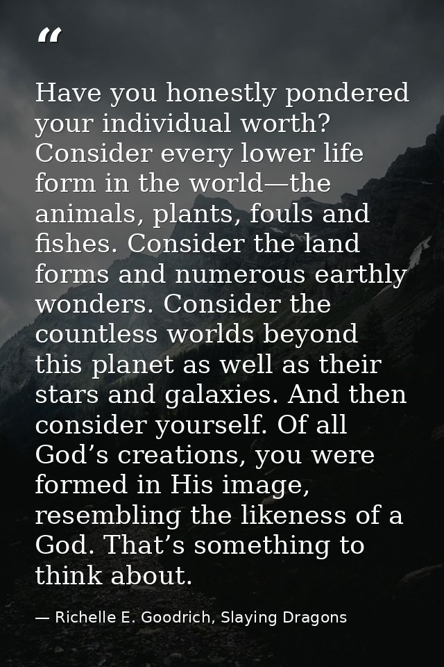 Have you honestly pondered your individual worth? Consider every lower life form in the world—the animals, plants, fouls — Richelle E. Goodrich, Slaying Dragons