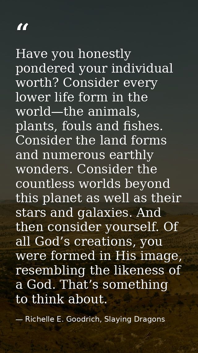 Have you honestly pondered your individual worth? Consider every lower life form in the world—the animals, plants, fouls — Richelle E. Goodrich, Slaying Dragons
