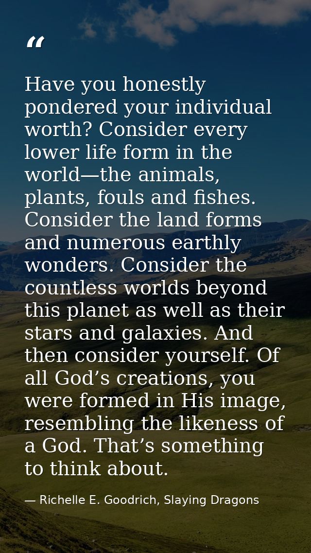 Have you honestly pondered your individual worth? Consider every lower life form in the world—the animals, plants, fouls — Richelle E. Goodrich, Slaying Dragons