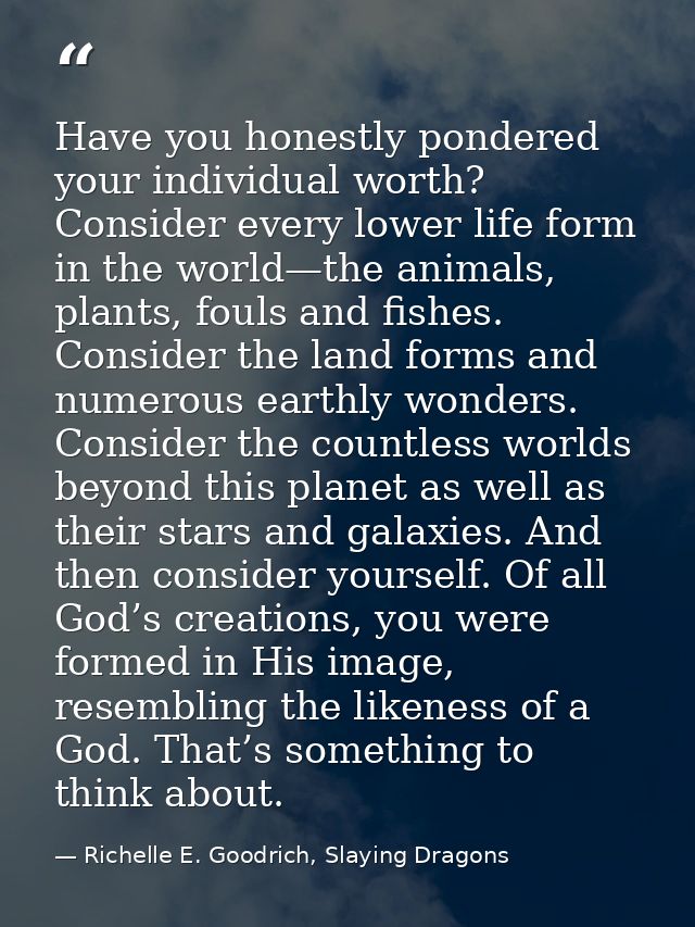 Have you honestly pondered your individual worth? Consider every lower life form in the world—the animals, plants, fouls — Richelle E. Goodrich, Slaying Dragons