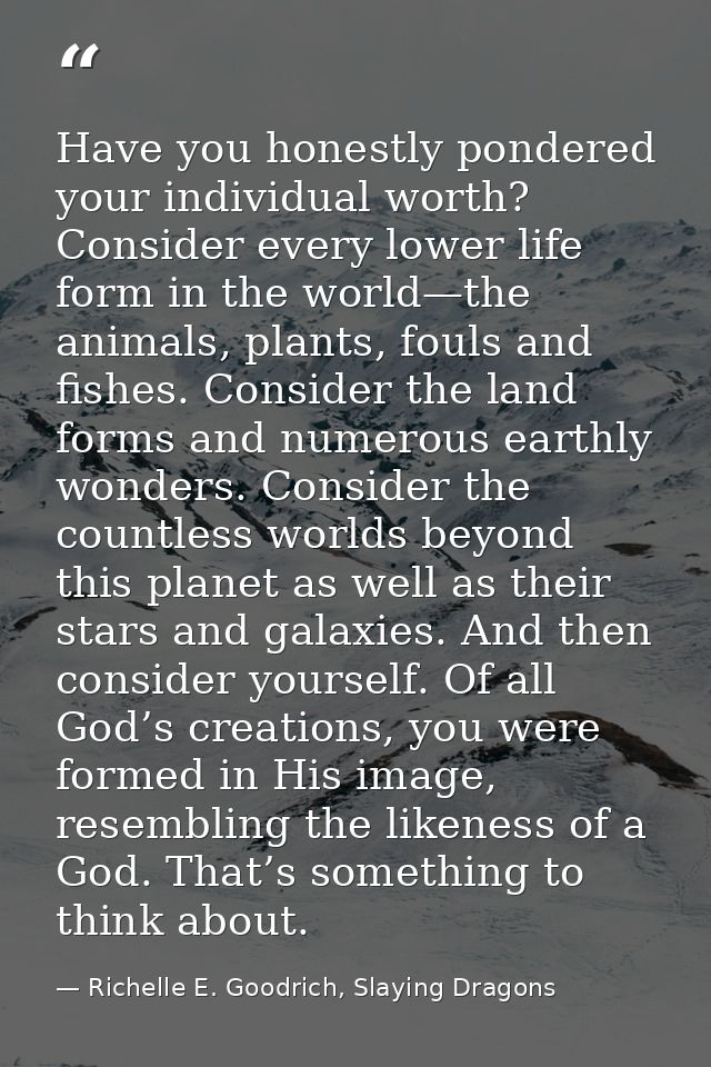Have you honestly pondered your individual worth? Consider every lower life form in the world—the animals, plants, fouls — Richelle E. Goodrich, Slaying Dragons