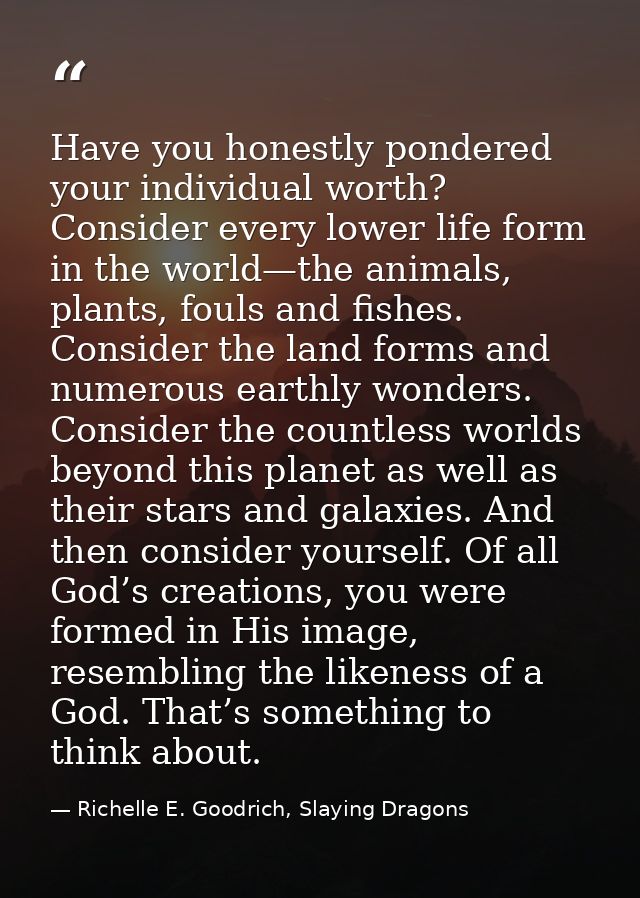 Have you honestly pondered your individual worth? Consider every lower life form in the world—the animals, plants, fouls — Richelle E. Goodrich, Slaying Dragons