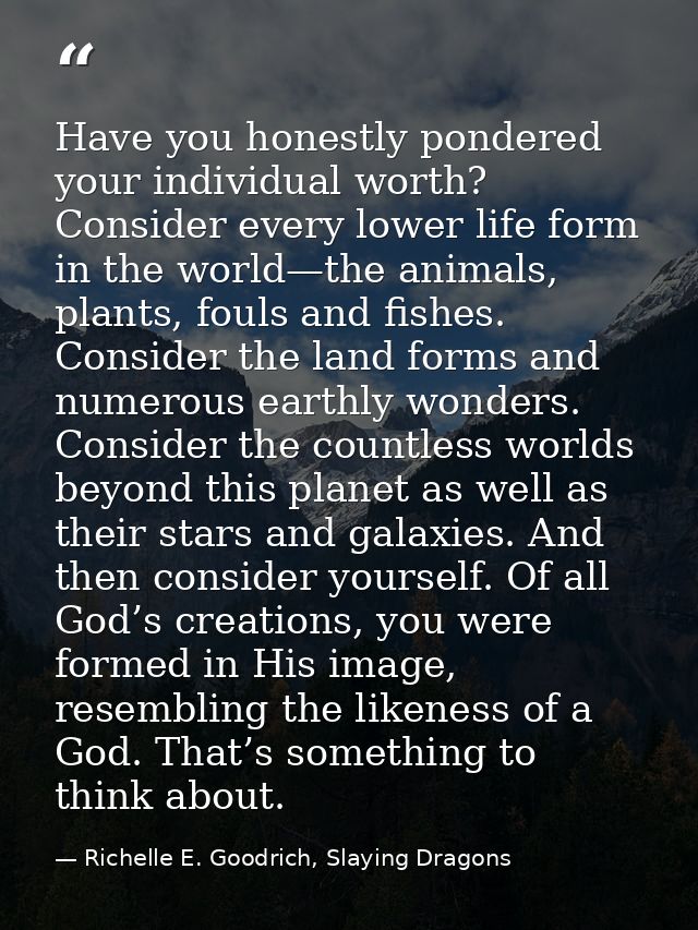 Have you honestly pondered your individual worth? Consider every lower life form in the world—the animals, plants, fouls — Richelle E. Goodrich, Slaying Dragons