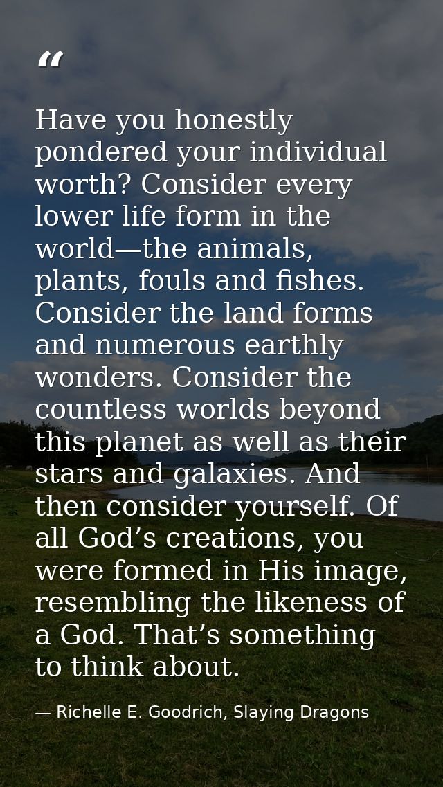 Have you honestly pondered your individual worth? Consider every lower life form in the world—the animals, plants, fouls — Richelle E. Goodrich, Slaying Dragons
