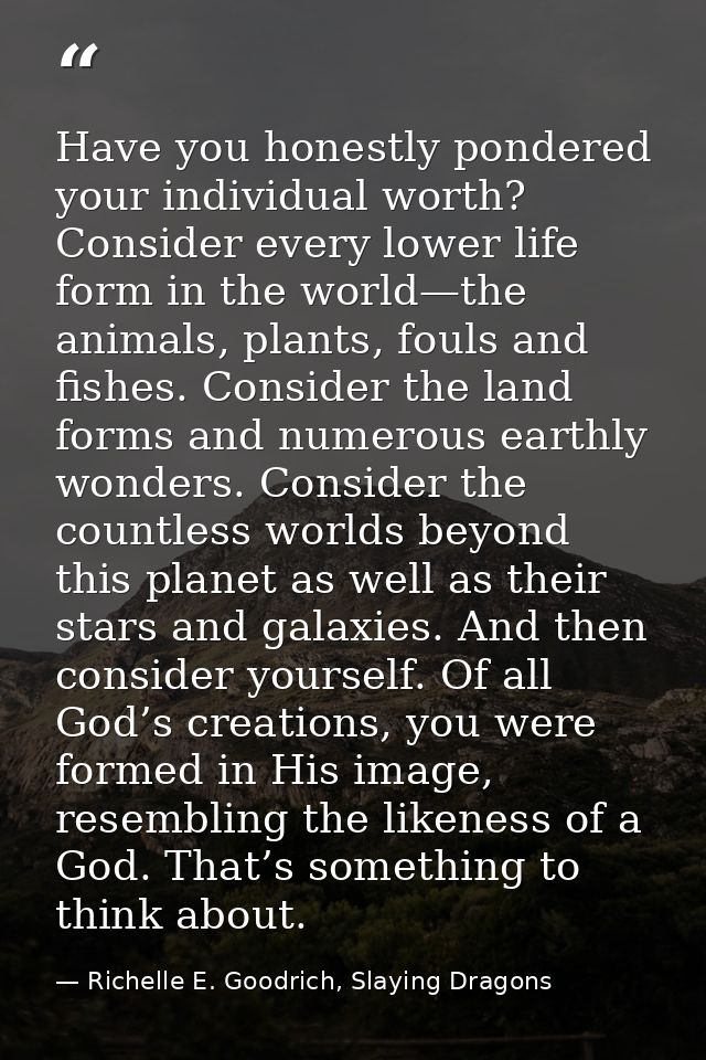 Have you honestly pondered your individual worth? Consider every lower life form in the world—the animals, plants, fouls — Richelle E. Goodrich, Slaying Dragons