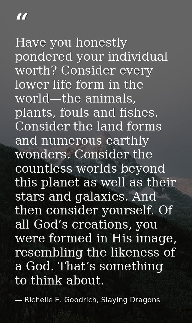 Have you honestly pondered your individual worth? Consider every lower life form in the world—the animals, plants, fouls — Richelle E. Goodrich, Slaying Dragons