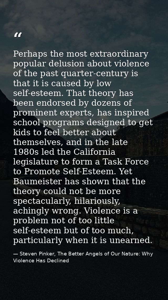 Perhaps the most extraordinary popular delusion about violence of the past quarter-century is that it is caused by low s — Steven Pinker, The Better Angels of Our Nature: Why Violence Has Declined