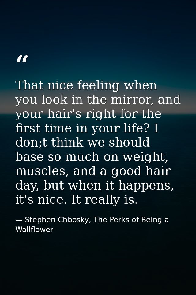 That nice feeling when you look in the mirror, and your hair's right for the first time in your life? I don;t think we s — Stephen Chbosky, The Perks of Being a Wallflower