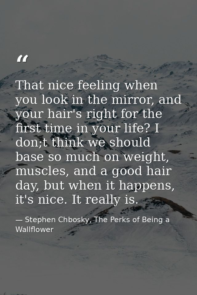 That nice feeling when you look in the mirror, and your hair's right for the first time in your life? I don;t think we s — Stephen Chbosky, The Perks of Being a Wallflower