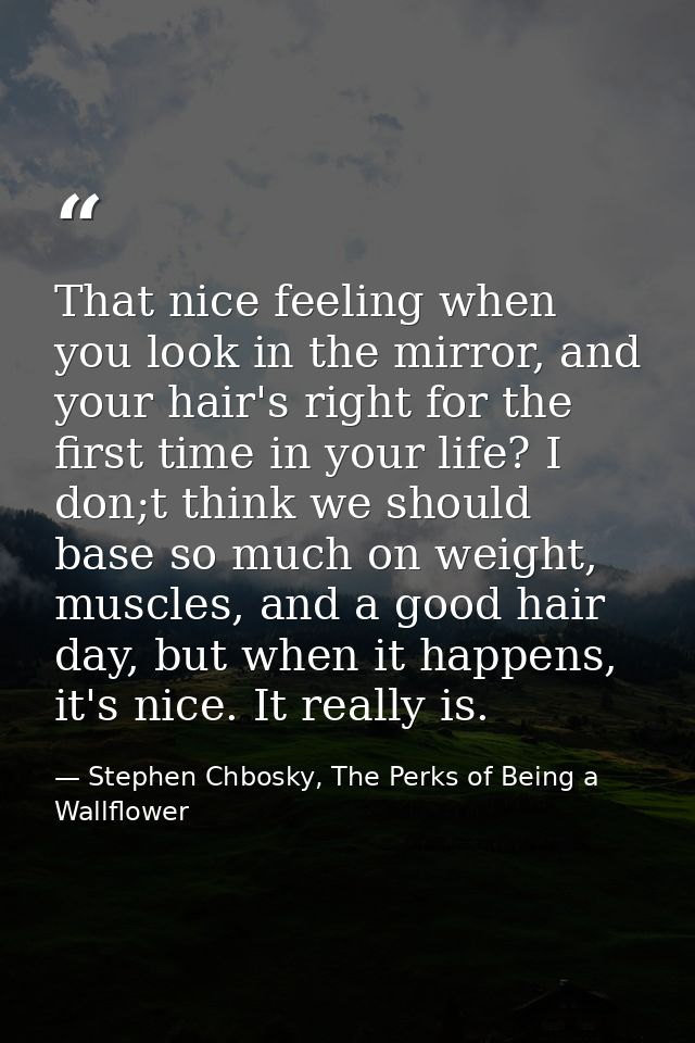 That nice feeling when you look in the mirror, and your hair's right for the first time in your life? I don;t think we s — Stephen Chbosky, The Perks of Being a Wallflower