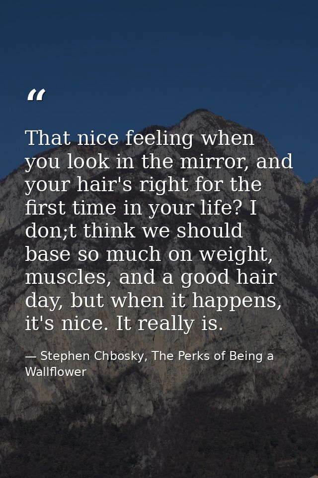 That nice feeling when you look in the mirror, and your hair's right for the first time in your life? I don;t think we s — Stephen Chbosky, The Perks of Being a Wallflower