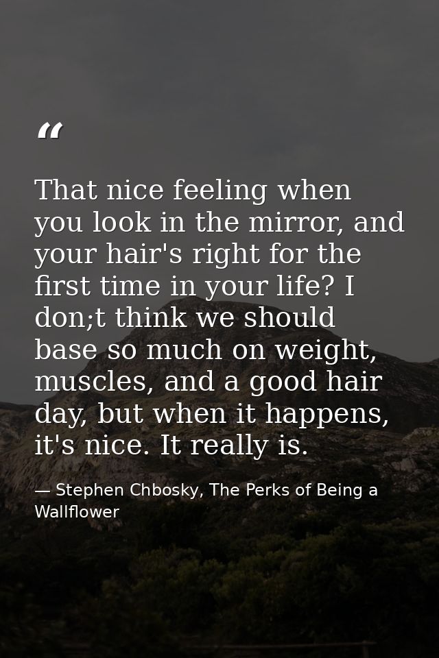 That nice feeling when you look in the mirror, and your hair's right for the first time in your life? I don;t think we s — Stephen Chbosky, The Perks of Being a Wallflower