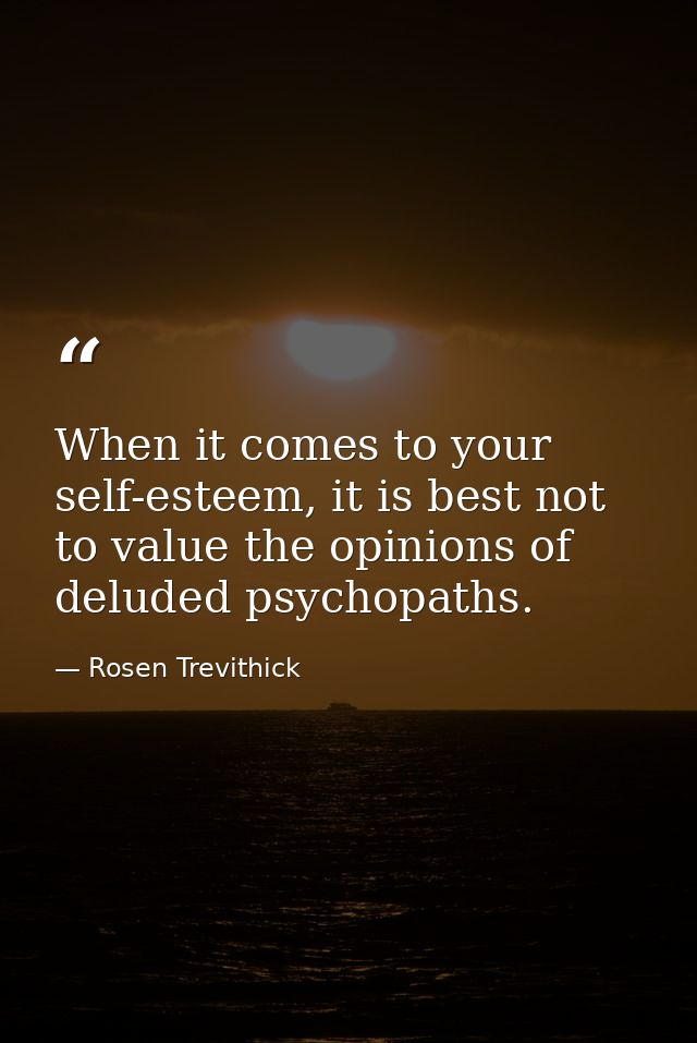 When it comes to your self-esteem, it is best not to value the opinions of deluded psychopaths. — Rosen Trevithick