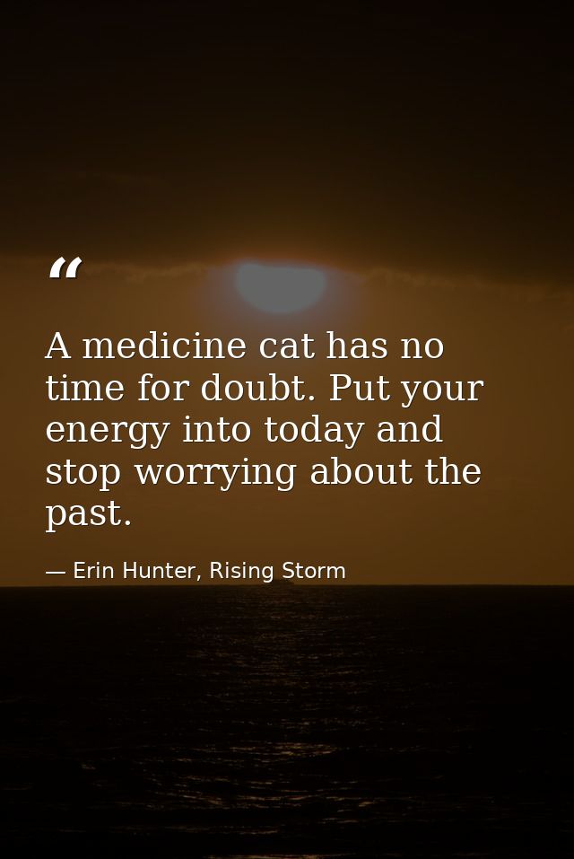 A medicine cat has no time for doubt. Put your energy into today and stop worrying about the past. — Erin Hunter, Rising Storm