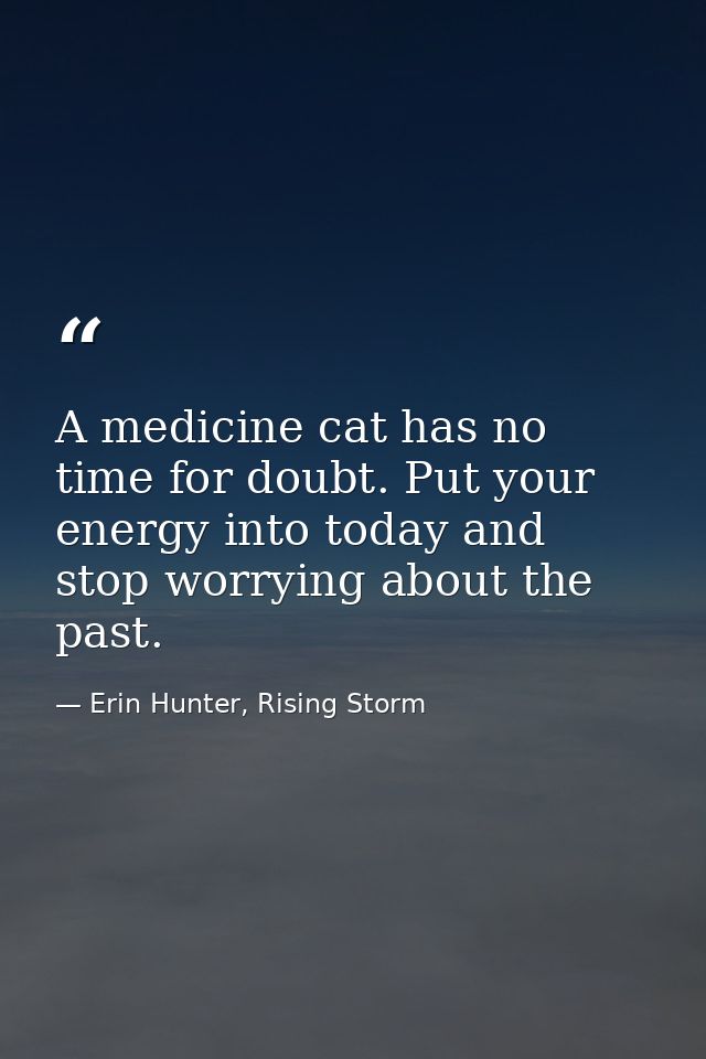 A medicine cat has no time for doubt. Put your energy into today and stop worrying about the past. — Erin Hunter, Rising Storm