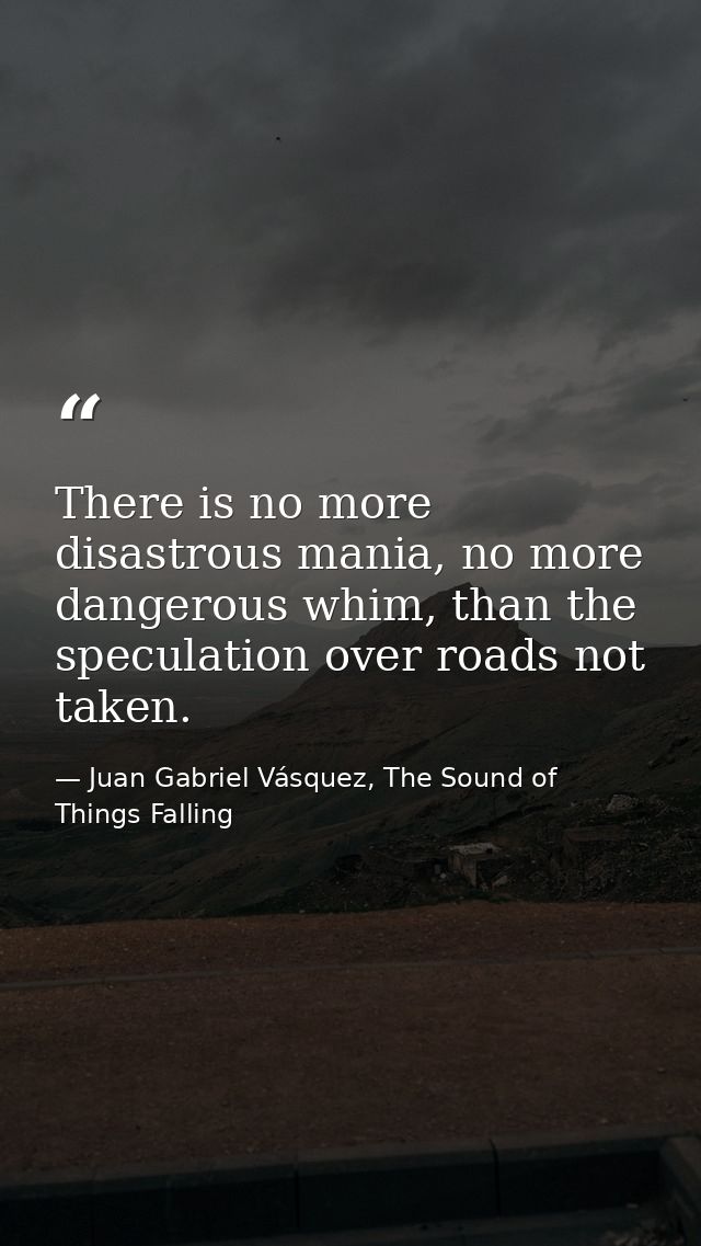 There is no more disastrous mania, no more dangerous whim, than the speculation over roads not taken. — Juan Gabriel Vásquez, The Sound of Things Falling