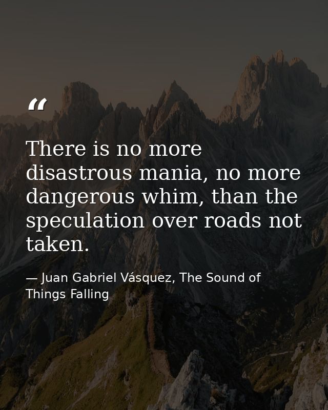 There is no more disastrous mania, no more dangerous whim, than the speculation over roads not taken. — Juan Gabriel Vásquez, The Sound of Things Falling
