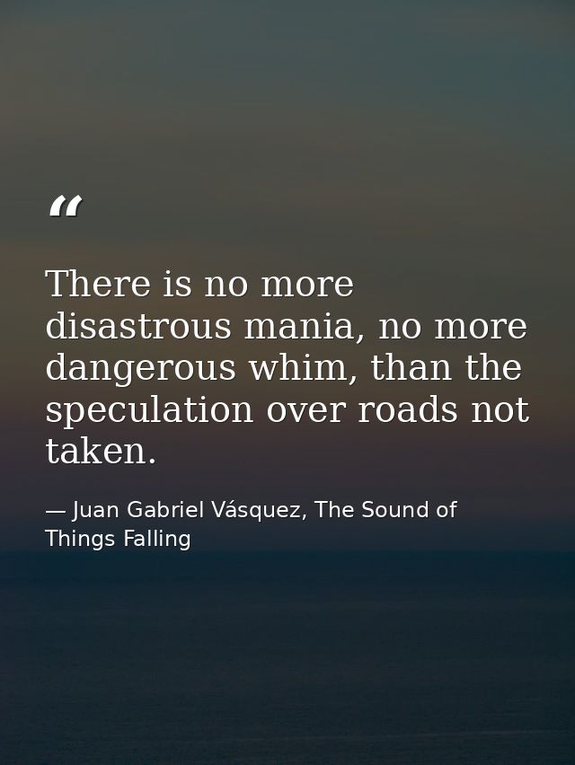 There is no more disastrous mania, no more dangerous whim, than the speculation over roads not taken. — Juan Gabriel Vásquez, The Sound of Things Falling