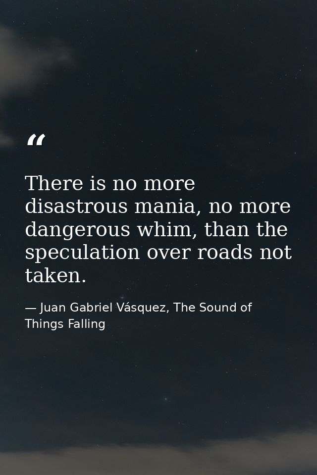 There is no more disastrous mania, no more dangerous whim, than the speculation over roads not taken. — Juan Gabriel Vásquez, The Sound of Things Falling