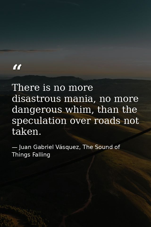 There is no more disastrous mania, no more dangerous whim, than the speculation over roads not taken. — Juan Gabriel Vásquez, The Sound of Things Falling
