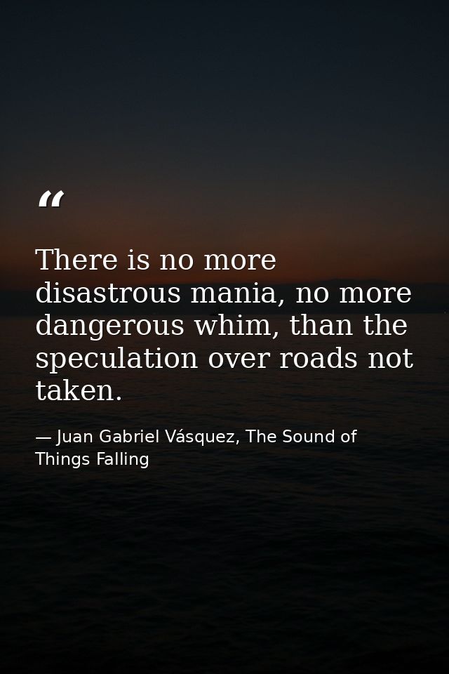 There is no more disastrous mania, no more dangerous whim, than the speculation over roads not taken. — Juan Gabriel Vásquez, The Sound of Things Falling