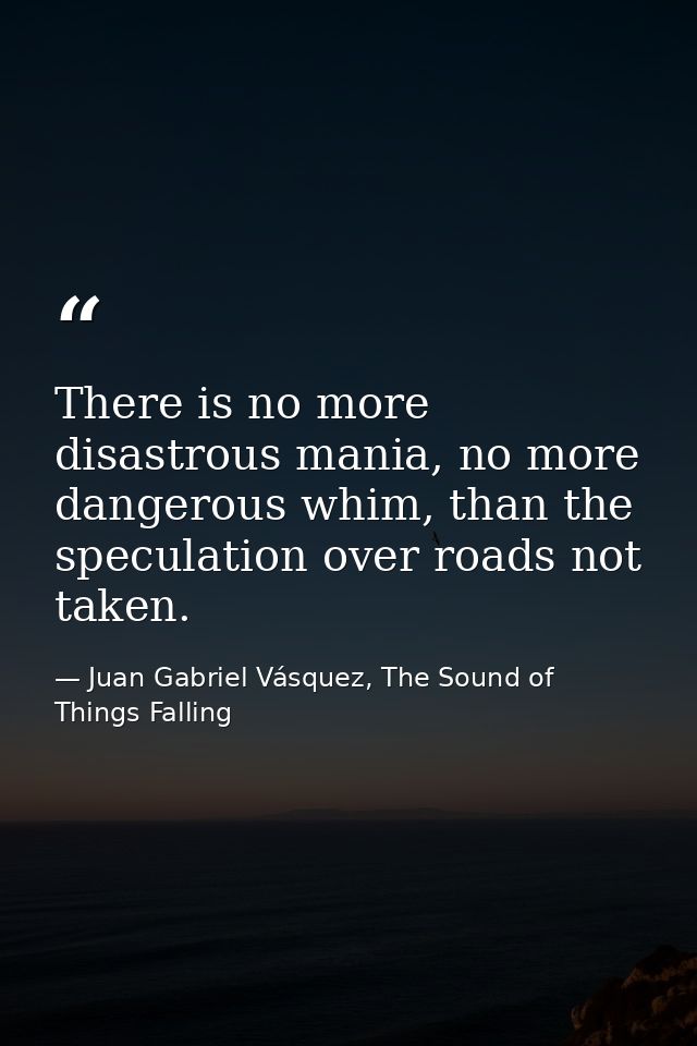 There is no more disastrous mania, no more dangerous whim, than the speculation over roads not taken. — Juan Gabriel Vásquez, The Sound of Things Falling