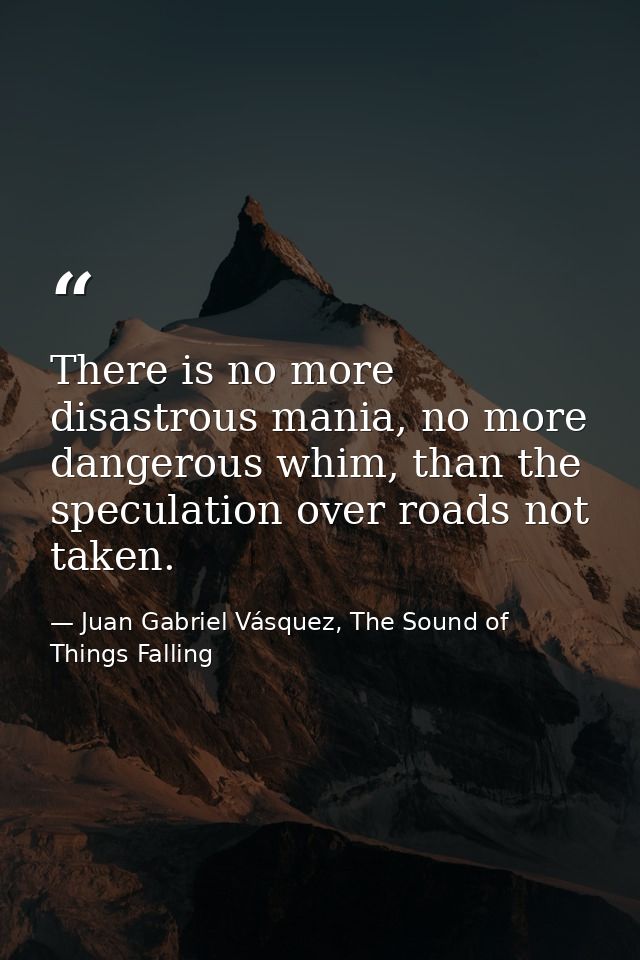 There is no more disastrous mania, no more dangerous whim, than the speculation over roads not taken. — Juan Gabriel Vásquez, The Sound of Things Falling