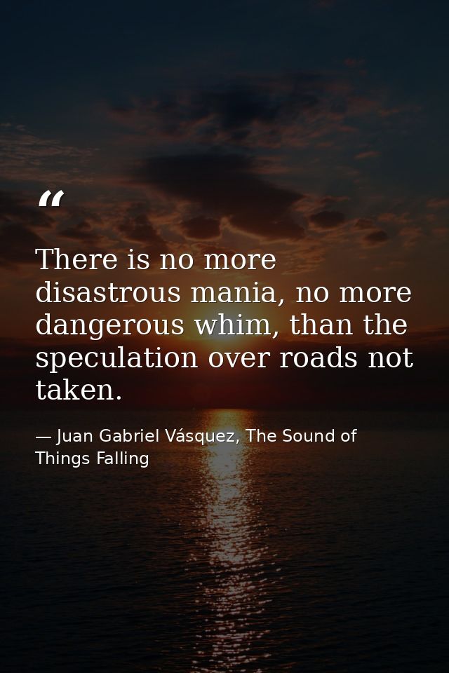 There is no more disastrous mania, no more dangerous whim, than the speculation over roads not taken. — Juan Gabriel Vásquez, The Sound of Things Falling