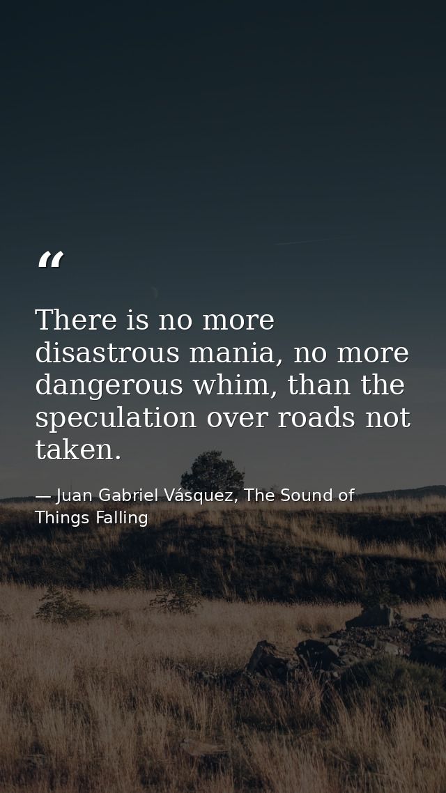 There is no more disastrous mania, no more dangerous whim, than the speculation over roads not taken. — Juan Gabriel Vásquez, The Sound of Things Falling