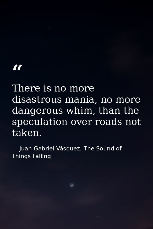 There is no more disastrous mania, no more dangerous whim, than the speculation over roads not taken. — Juan Gabriel Vásquez, The Sound of Things Falling