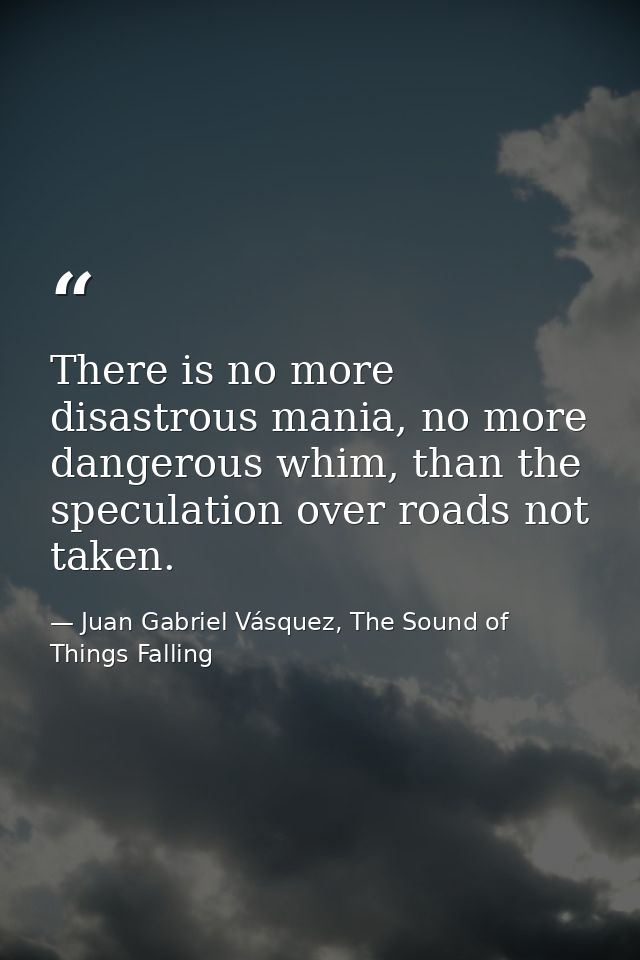 There is no more disastrous mania, no more dangerous whim, than the speculation over roads not taken. — Juan Gabriel Vásquez, The Sound of Things Falling