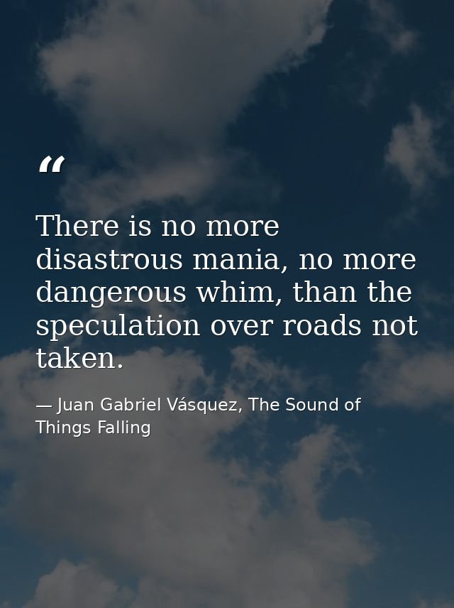 There is no more disastrous mania, no more dangerous whim, than the speculation over roads not taken. — Juan Gabriel Vásquez, The Sound of Things Falling