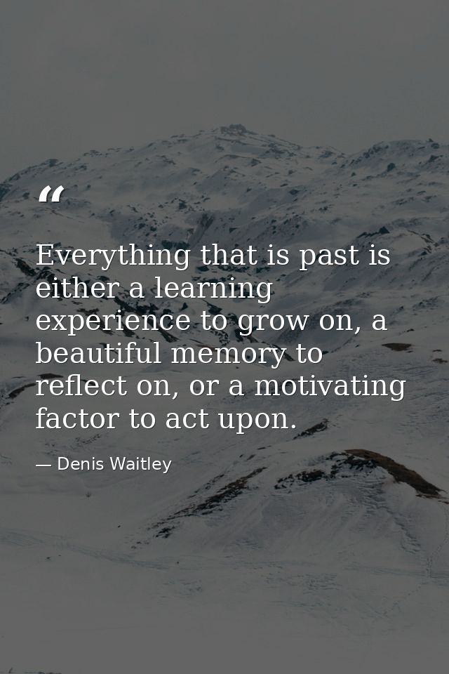 Everything that is past is either a learning experience to grow on, a beautiful memory to reflect on, or a motivating fa — Denis Waitley